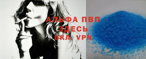 спиды Новодвинск