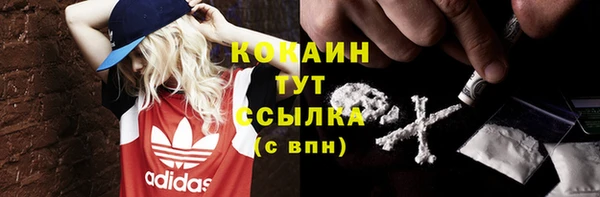 спиды Новодвинск