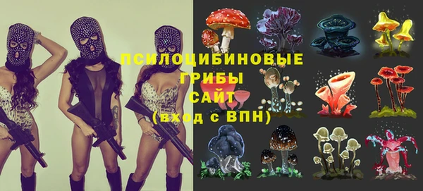 spice Куйбышев