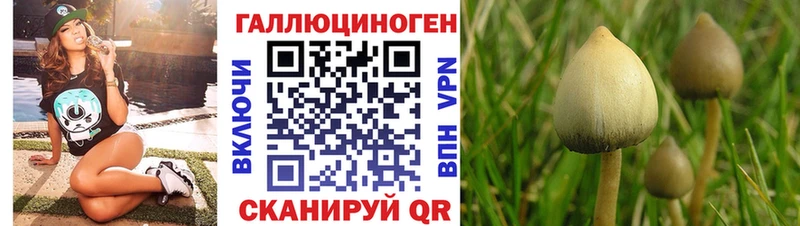 Галлюциногенные грибы Cubensis закладки Протвино