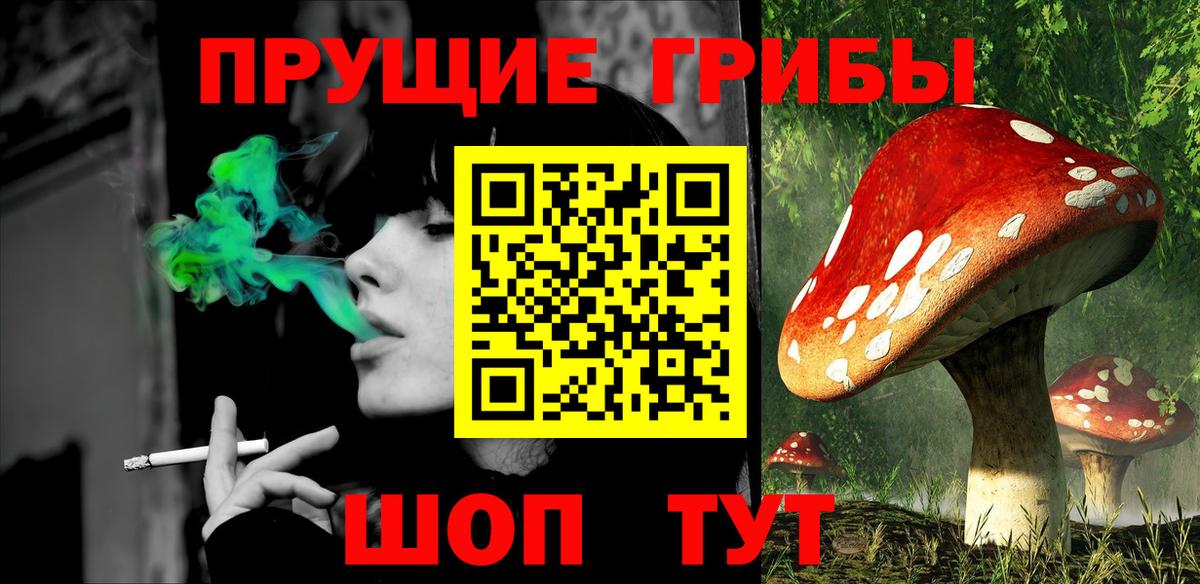Протвино  Галлюциногенные грибы GOLDEN TEACHER  Вход с VPN 